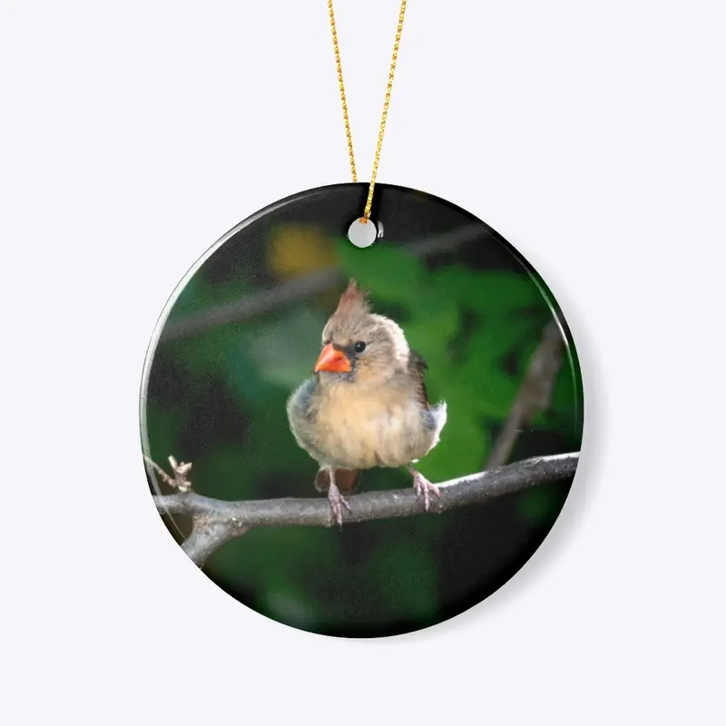 Northern Cardinal Ornament