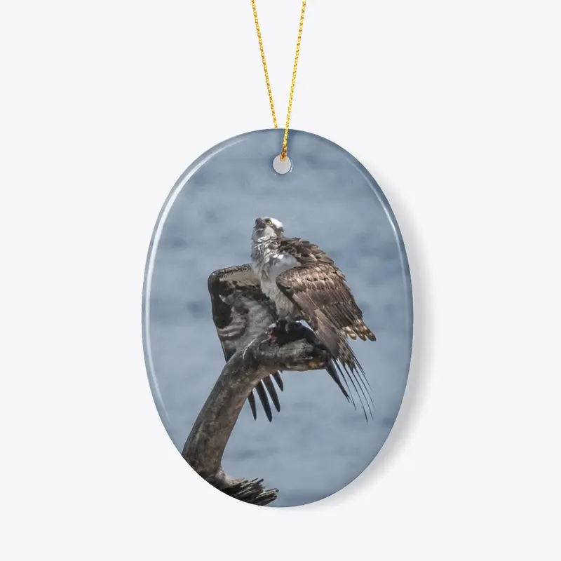 Osprey ornament